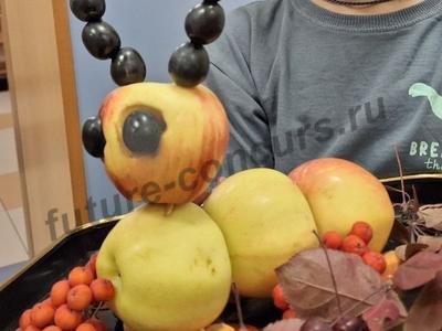Яблочная гусеница.