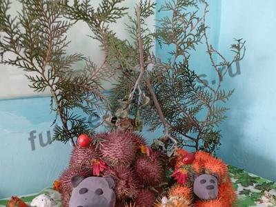 Веселые ежата.