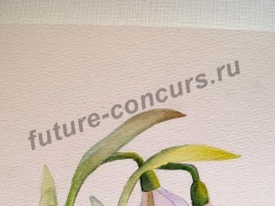 Первые цветы