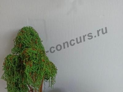 Беличья полянка
