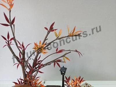Осенние окрестности ежика